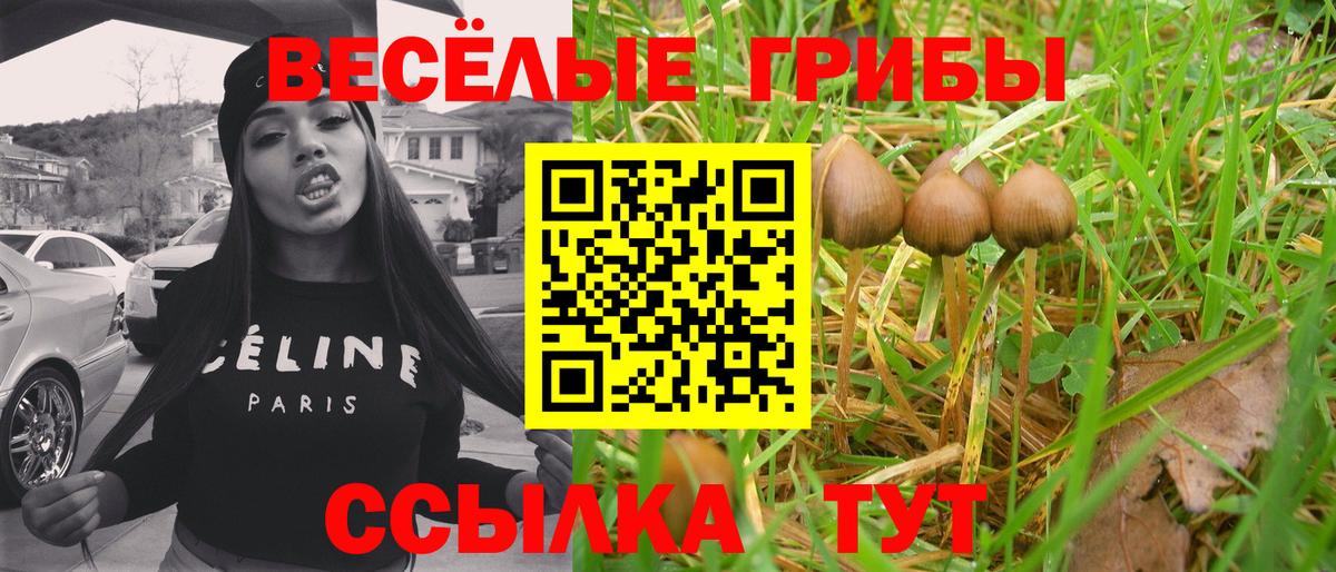 Галлюциногенные грибы Psilocybine cubensis  Псилоцибиновые грибы Cubensis  Электросталь  Вход с VPN 